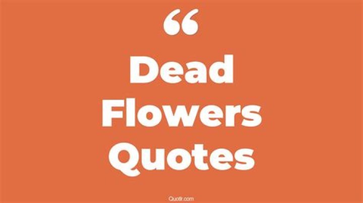 33 Quotes About Dead Flowers