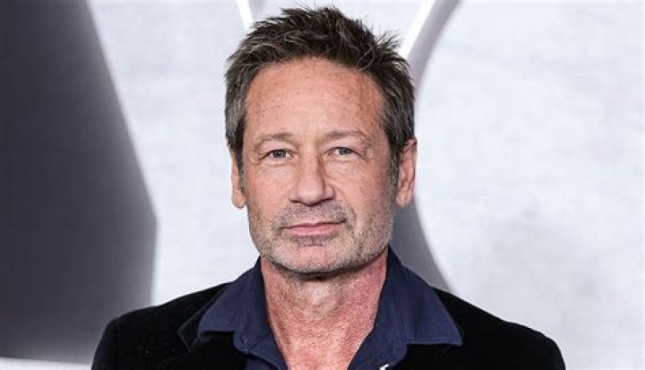 Actor 101: David Duchovny - CelebMix