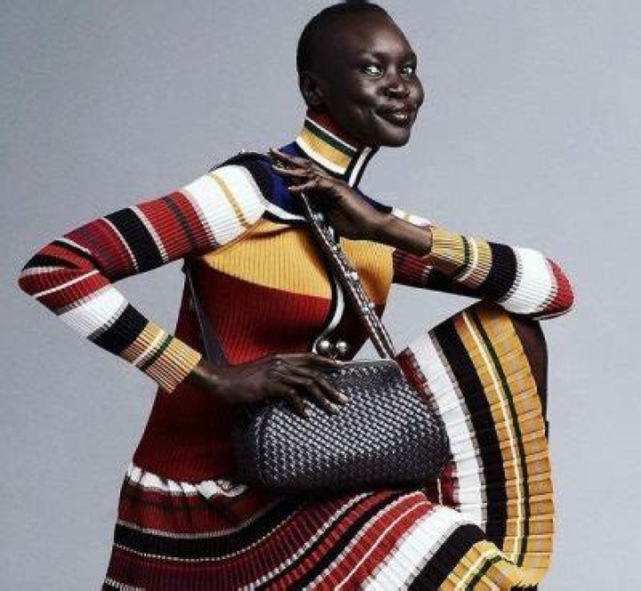 Alek Wek- Biography, Age, Height, Net Worth, Boyfriend, Dating