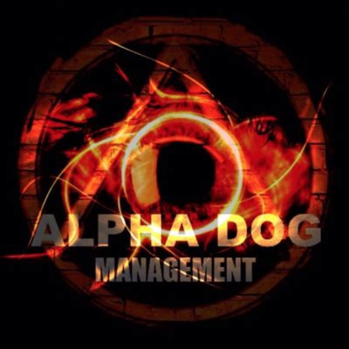Alphadog Management calls for young stars