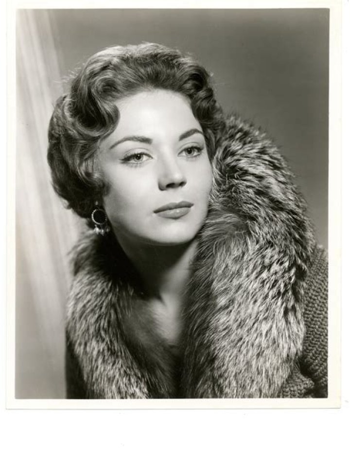 Andra Fuller Net Worth 2024, Age, Height, Bio, Birthday, Wiki!