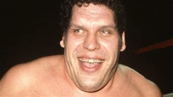André the Giant Biography: Real Name, Net Worth, Height, Age, Wife, Parents, Death