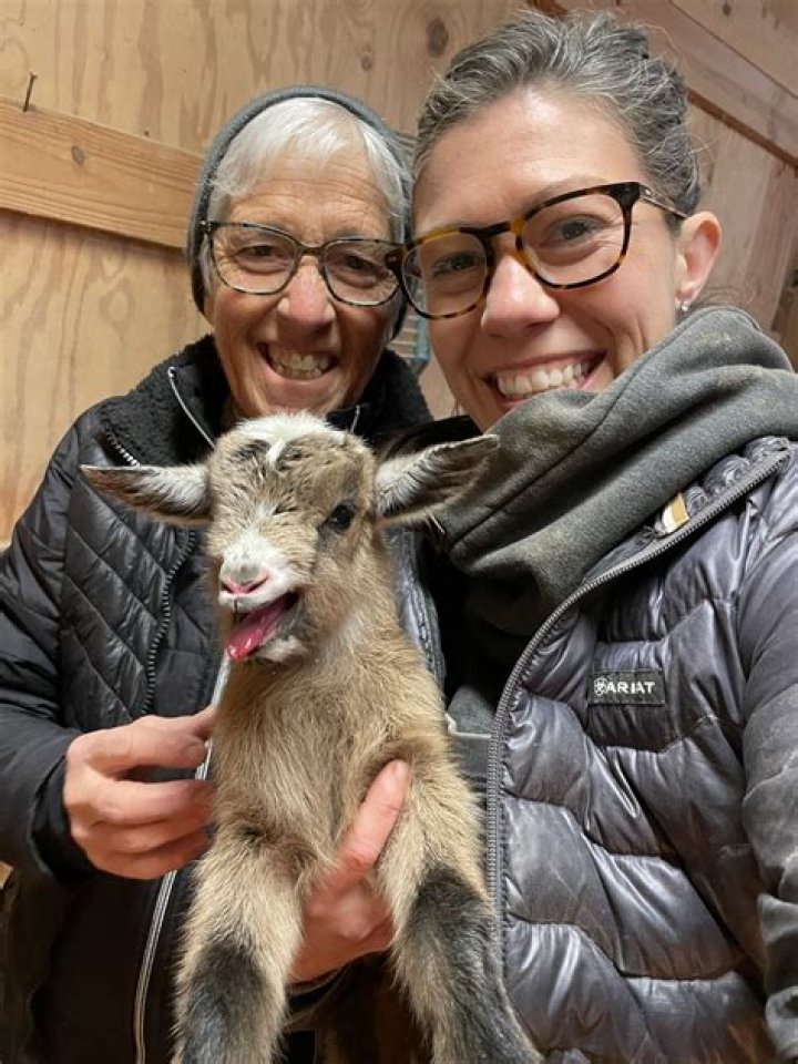 Anne of All Trades’s Boyfriend: Who is Anne of All Trades Dating?