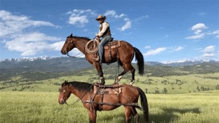 Aya Ueto’s Husband: Who is Aya Ueto Dating?