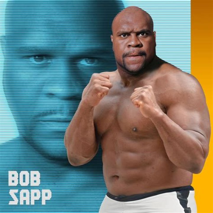 Bob Sapp’s biography, net worth, fact, career, awards and life story