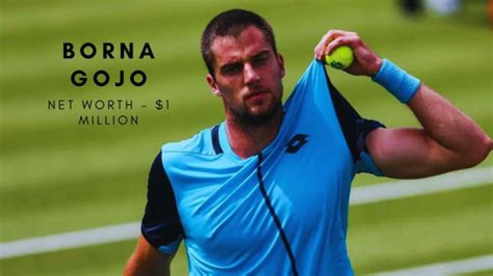 Borna Gojo Net Worth, Age, Height, Bio, Birthday, Wiki!