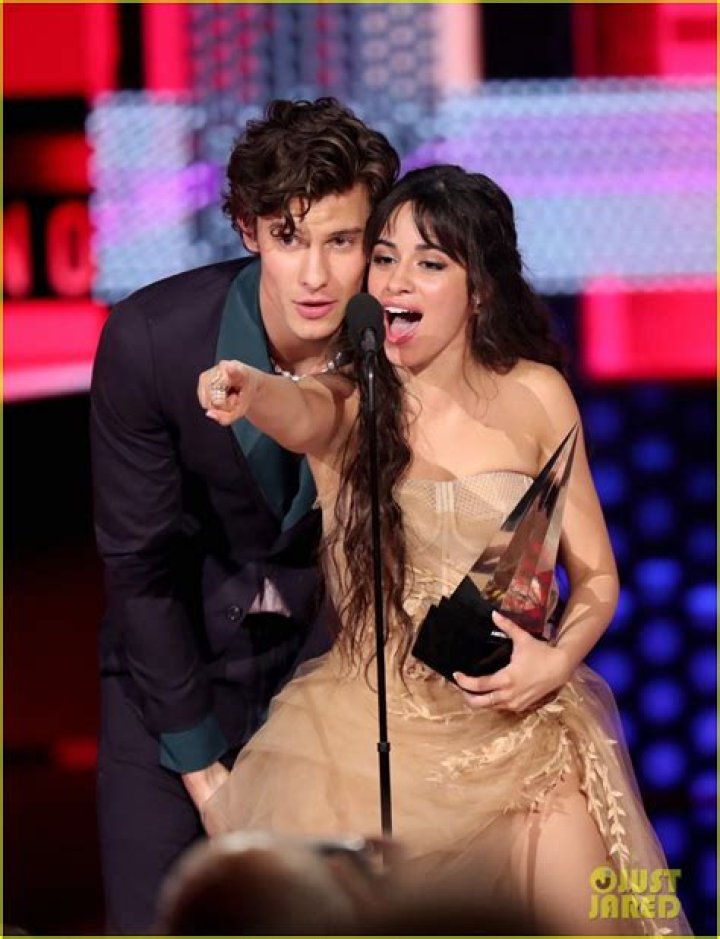 Camila Cabello finally clears up Shawn Mendes dating rumours