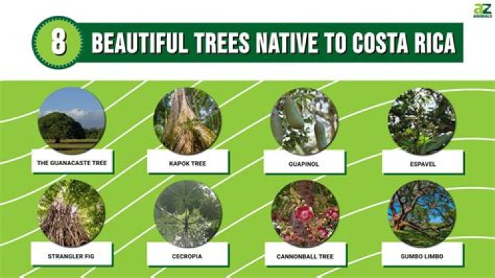 Characteristics of exotic trees