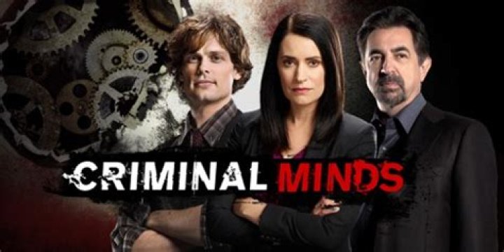 Criminal Minds Recap 01/15/20: Season 15 Episode 3 “Spectator Slowing”