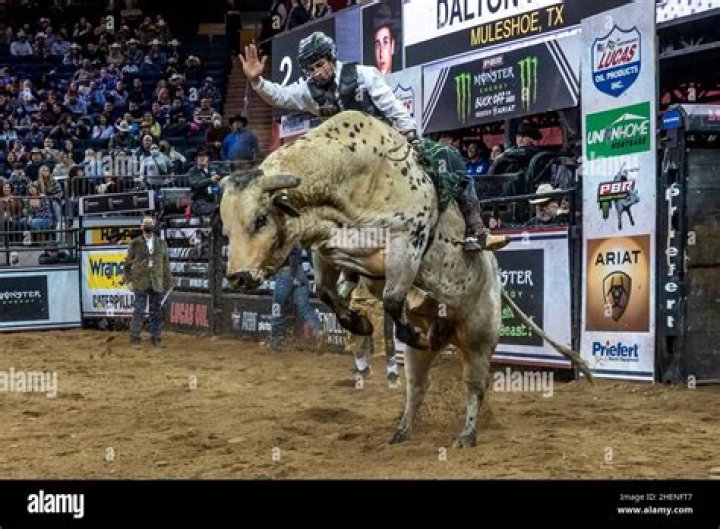 Dalton Kasel Age: How Old Is The Professional Bull Rider?