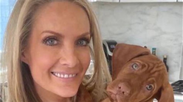Dana Perino Health Issues: What Happened To Her? Illness And Her Career