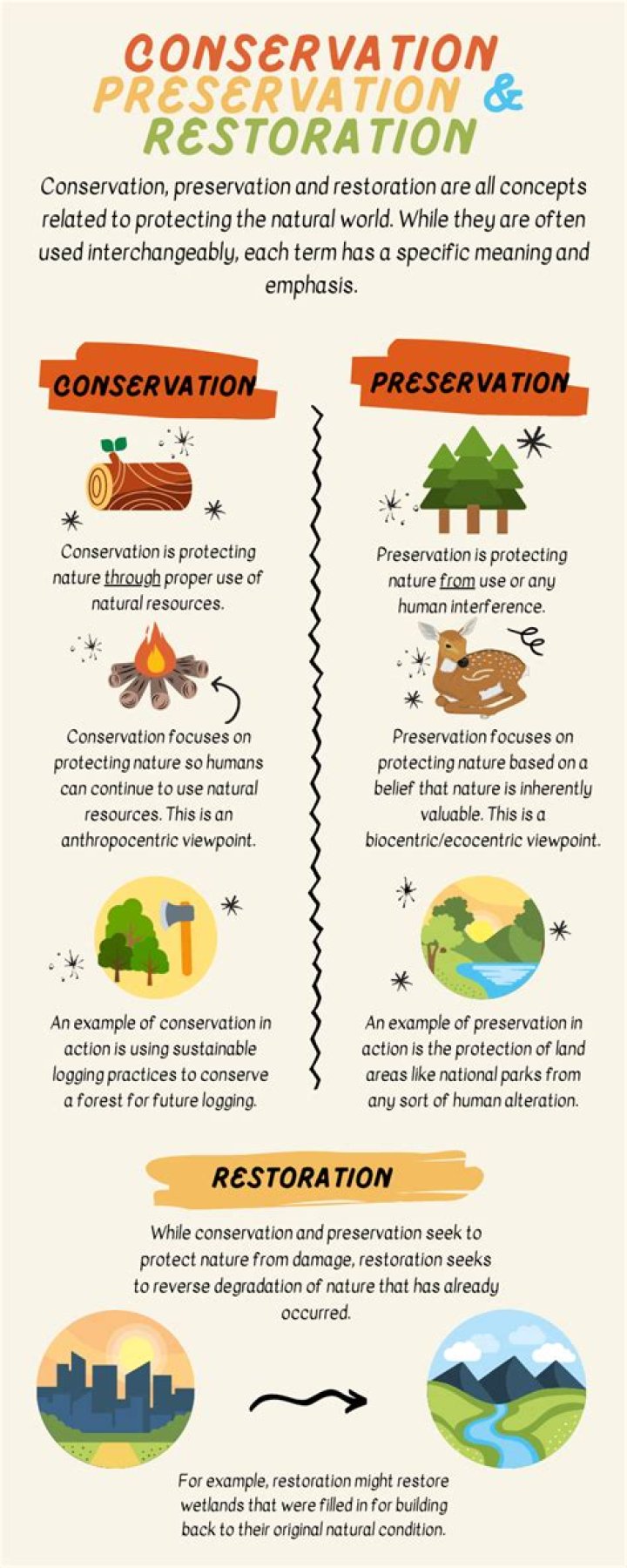 Difference between conservation and preservation