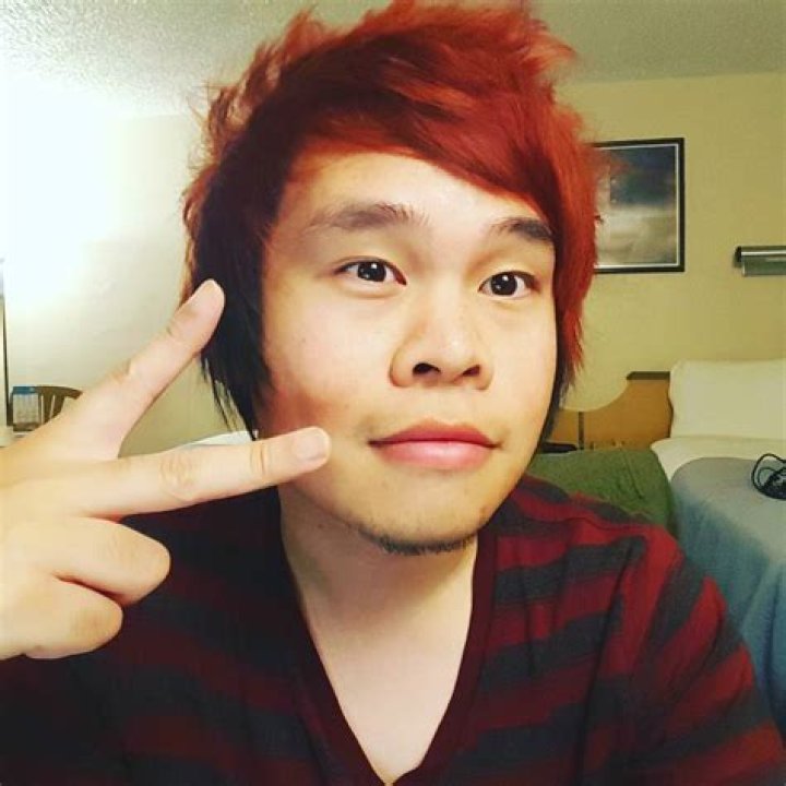 Domics Biography And Net Worth