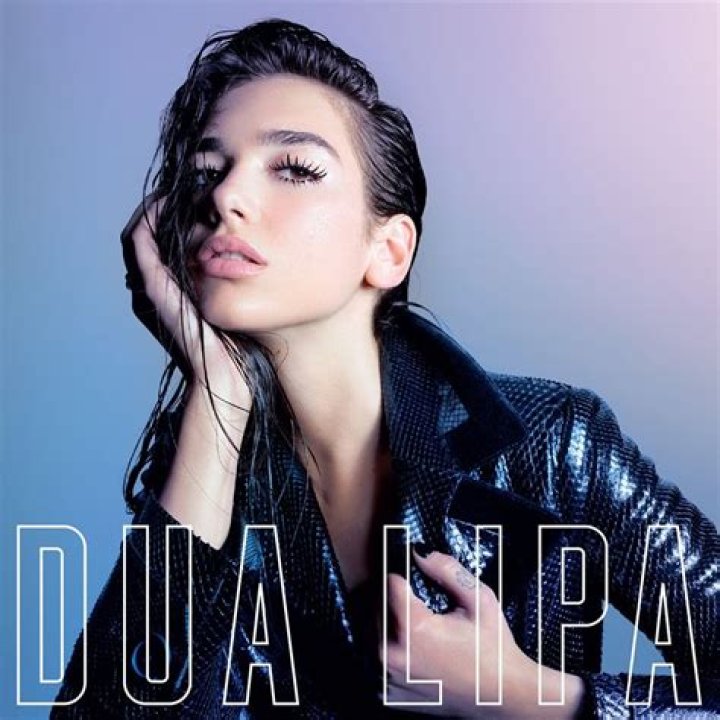 Dua Lipa: A Year In Review