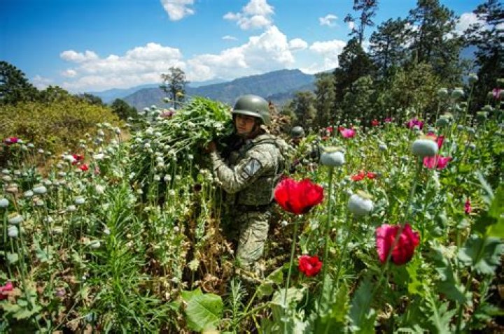 Emilio Guzmán Bustillos » Age, Net Worth, Family, Bio, News