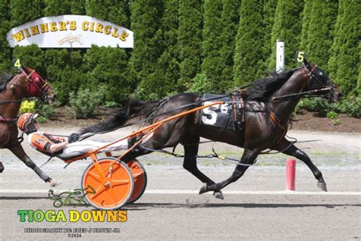 EXCLUSIVE: Interview With Dynamite Dylan