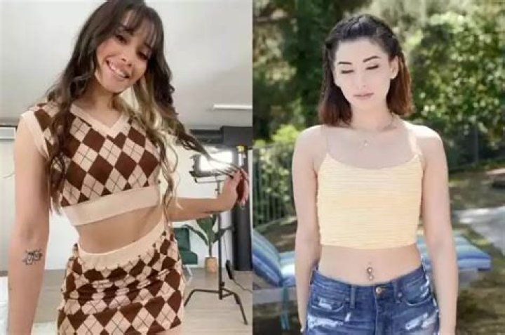 Fame | Aria Lee net worth and salary income estimation Jan, 2024