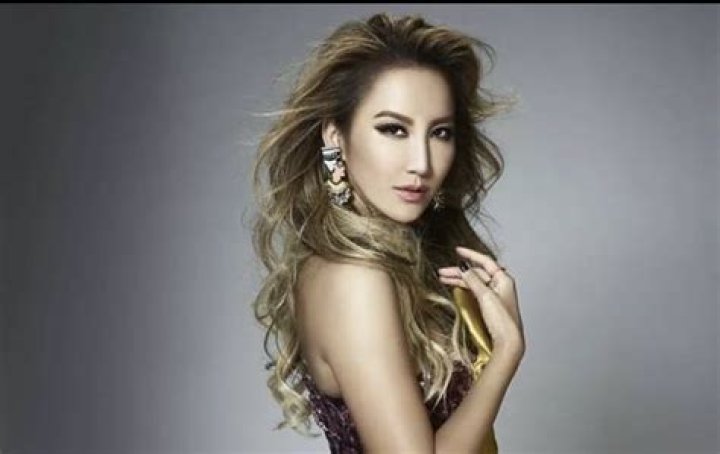 Fame | Coco Lee net worth and salary income estimation Apr, 2024