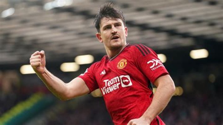 Fame | Harry Maguire net worth and salary income estimation Jan, 2024