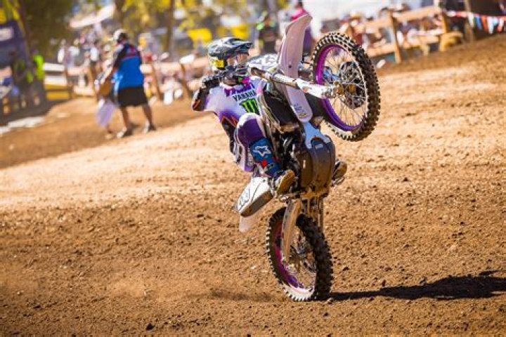 Fame | Hudson Deegan net worth and salary income estimation Jan, 2024