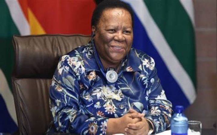 Fame | Naledi Pandor net worth and salary income estimation Jan, 2024