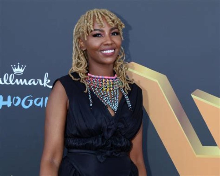 Fame | Opal Tometi net worth and salary income estimation Jan, 2024