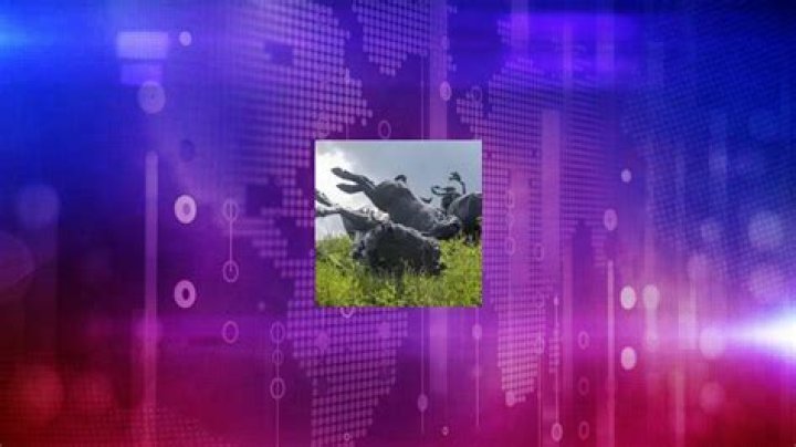 Fame | Peggy Detmers net worth and salary income estimation Apr, 2024