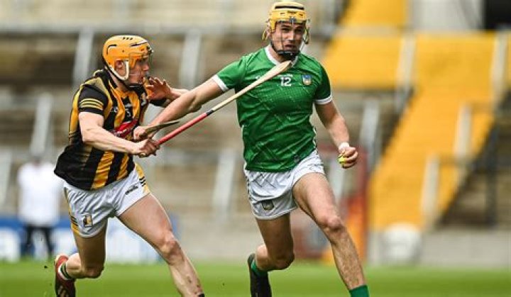 Fame | Tom Ryan (Limerick hurler) net worth and salary income estimation Jan, 2024