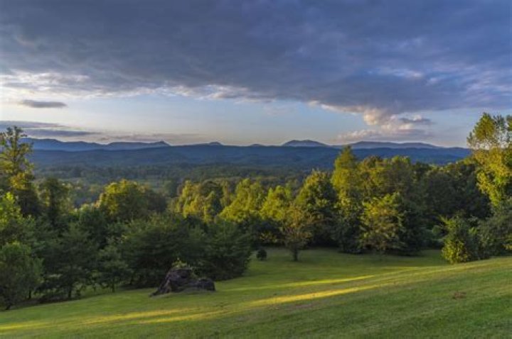 Fame | Tony Jordan net worth and salary income estimation Apr, 2024