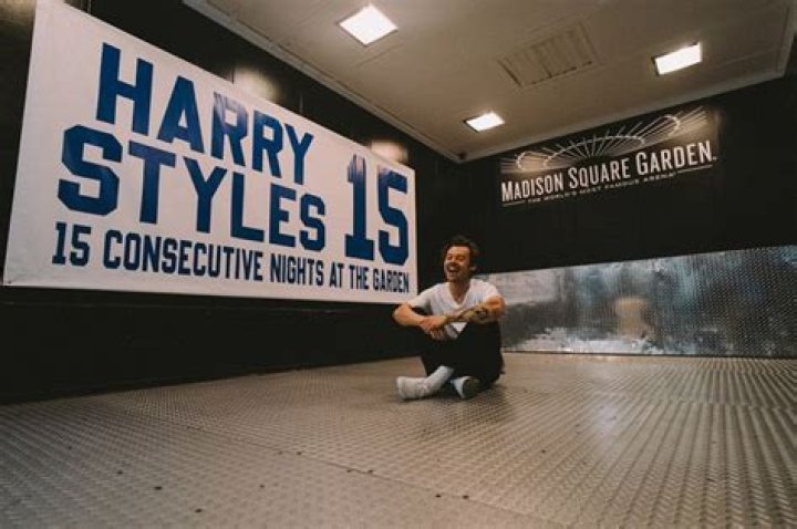 Fans of Harry Styles Surpass Campaign Goal to Save Skylark