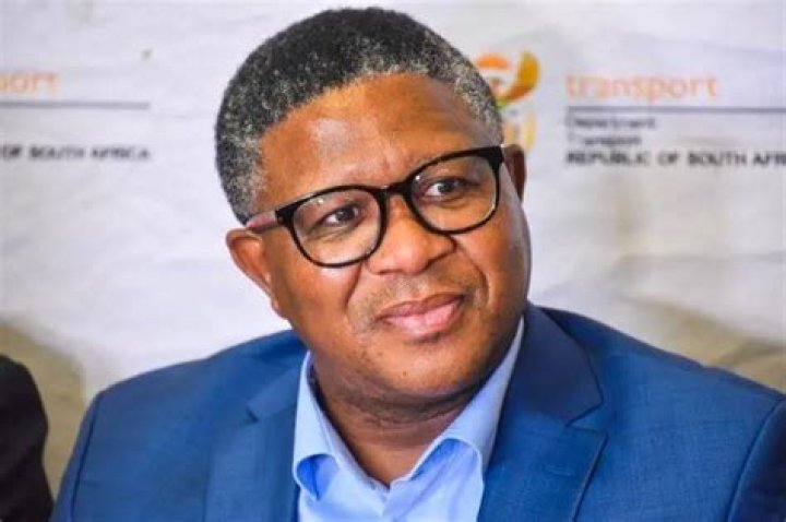 Fikile Mbalula Biography: Cars, Salary, Age, House, Net Worth, Qualifications, Contact Details, Wife, Speech