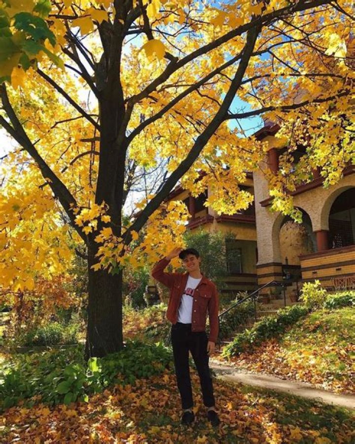 Five times Connor Franta rocked yellow
