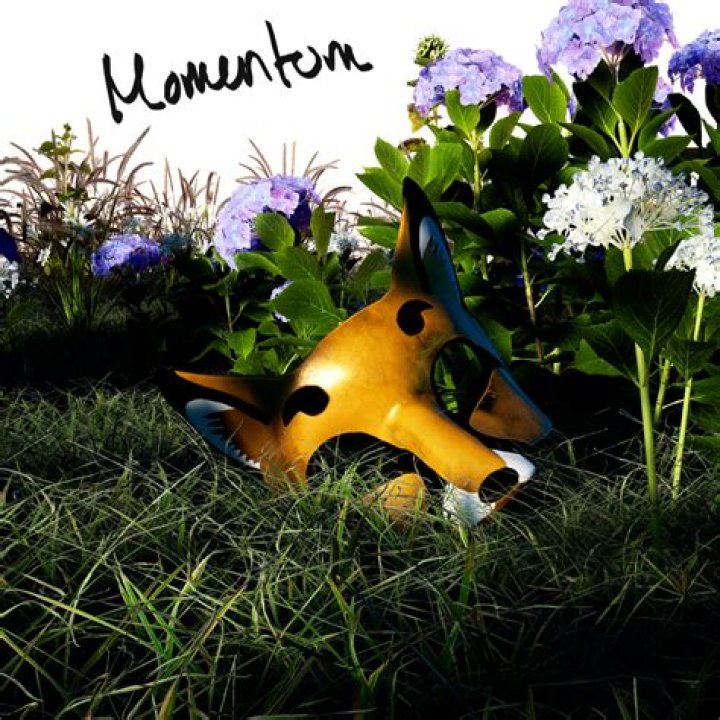 Foxfrd Releases Debut EP ‘Momentum’