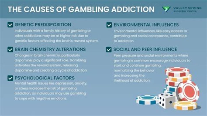Gambling as a Lifestyle