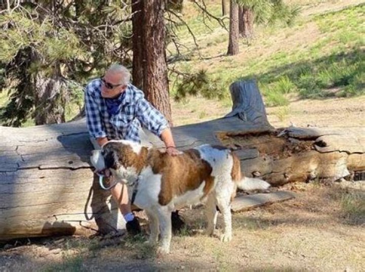 Garth Kemp- Net Worth, Wife, Bio, Age, Height