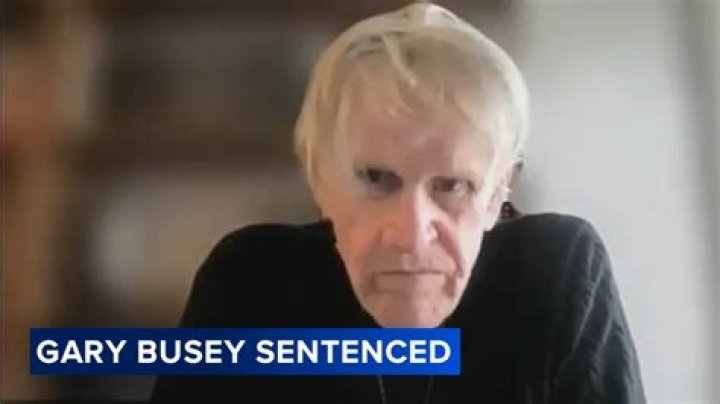 Gary Busey Was Arrested In New Jersey For Multiple Sex Crimes Charges