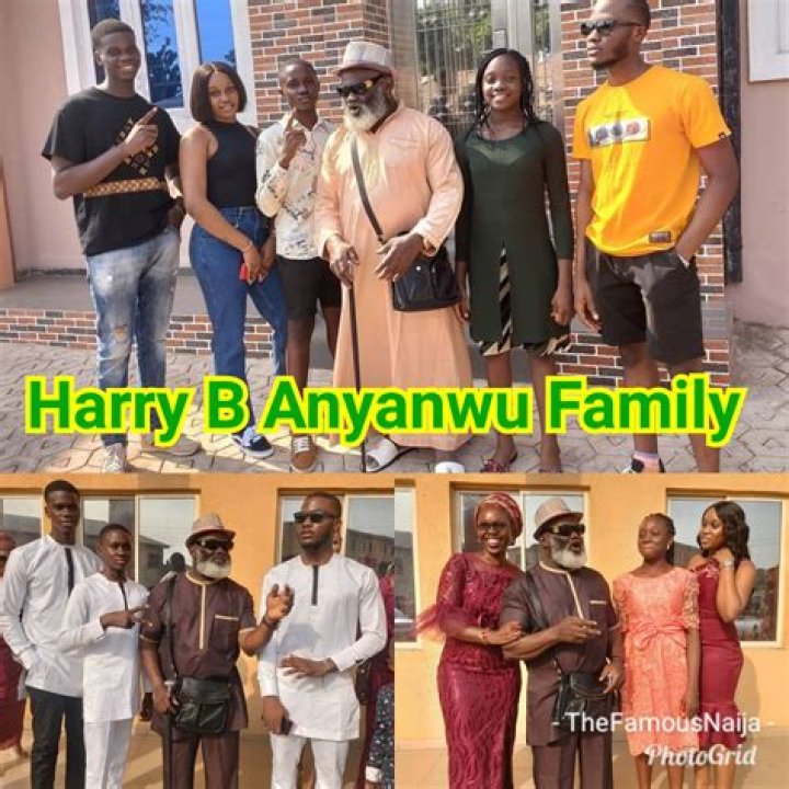 Harry Anyanwu - Net Worth, Age, Height, Birthday, Bio, Wiki!