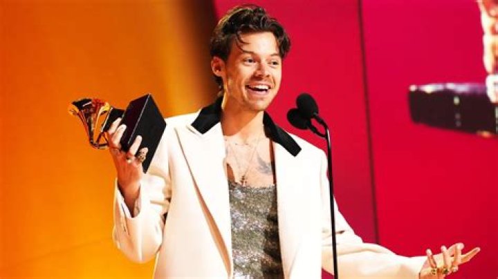 Harry Styles: A Year in Review