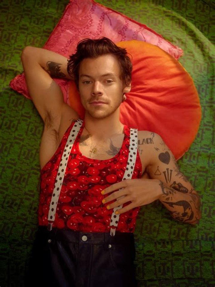 Harry Styles is love - CelebMix