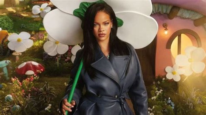 Hunt For Rihanna's Stalker - CelebMix