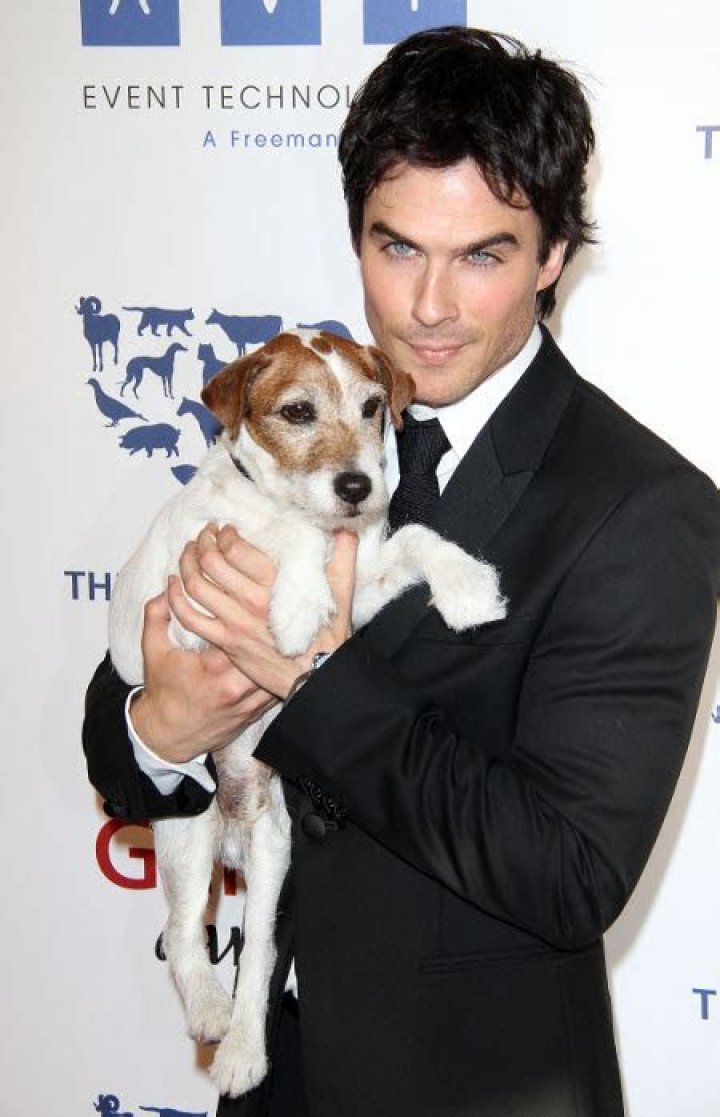 Ian Somerhalder Leaves Club With New Girl, Trying To Make Nina Dobrev Jealous? (PHOTOS)