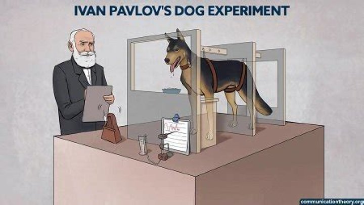 Ivan Pavlov - Net Worth, Age, Height, Birthday, Bio, Wiki!