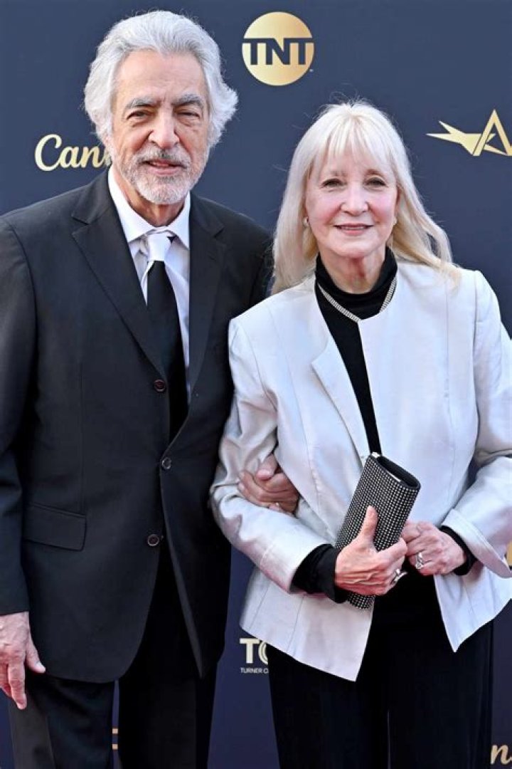 Joe Mantegna Net Worth 2024, Age, Height, Bio, Birthday, Wiki!