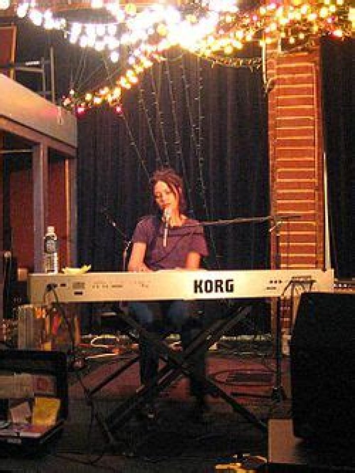 Lisa Germano Net Worth, Age, Height, Bio, Birthday, Wiki!