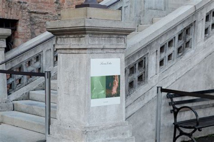 Lucia Zolea’s Boyfriend: Who is Lucia Zolea Dating?