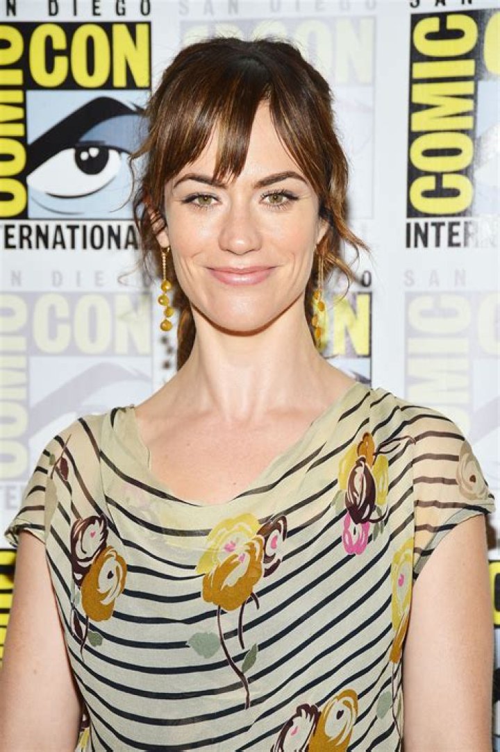 Maggie Siff Net Worth, Age, Height, Bio, Birthday, Wiki!
