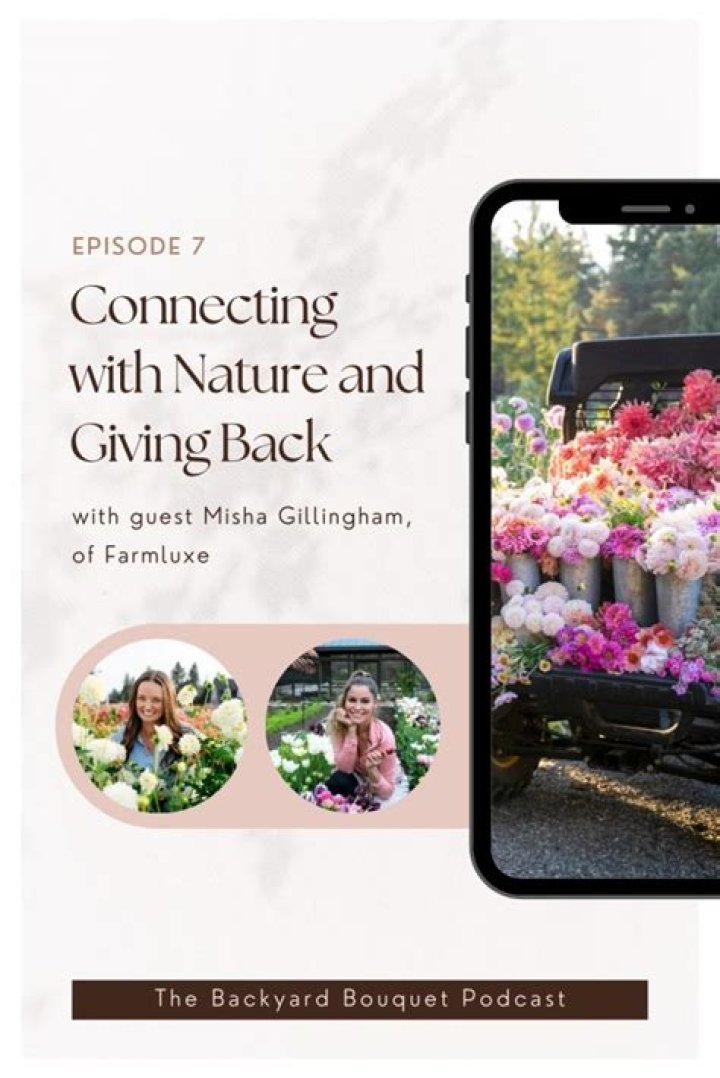 Misha Gillingham Net Worth, Age, Height, Bio, Birthday, Wiki!