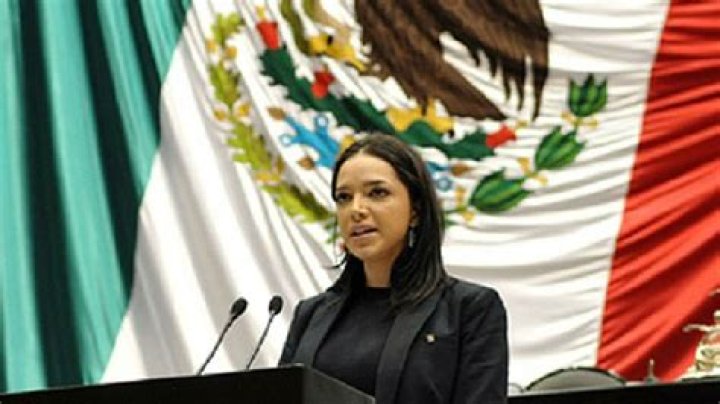 Mónica García de la Fuente