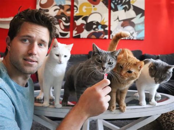 Nathan The Cat Lady - Net Worth, Age, Height, Birthday, Bio, Wiki!
