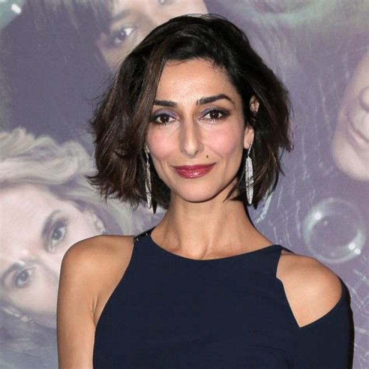 Necar Zadegan Net Worth, Age, Height, Bio, Birthday, Wiki!